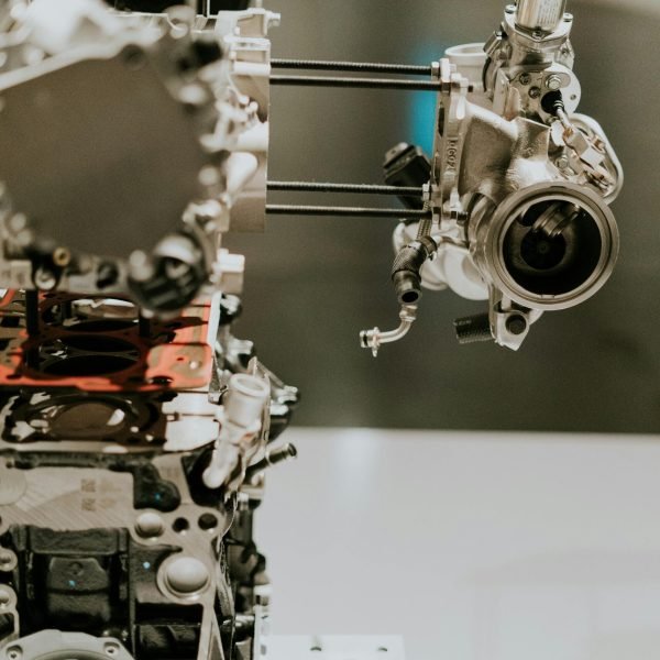 pexels-amar-11157438